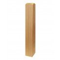 Newel Base Pine