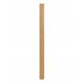 Plain Spindle Pine
